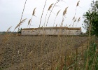 Riet Vell   Elly van Zonneveld